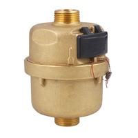 Compteur d'eau volumétrique en laiton de haute qualité LIRLEE Classe C DN15 DN20 Compteur d'eau rotatif à piston volumétrique en laiton