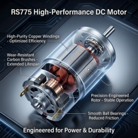 Motor de CC RS775 de Voltaje Personalizado 12V 24V de Alta Velocidad con Rodamiento de Bolas, Bobinado de Cobre y Aluminio Opcional para DIY OEM ODM