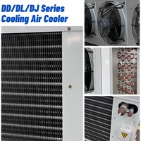Pendingin Udara Evaporatif Cold Chain DD-65.2/360 65.2KW 42000m3/h Pendingin Ruangan Freezer untuk Distribusi Supermarket Produsen