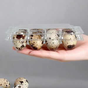 ถาดพลาสติกใส่ไข่ขนาดเล็กถาดใส่ไข่12ใบถาดใส่ไข่นกกระทาพลาสติกสำหรับฟาร์มซุปเปอร์มาร์เก็ต - Product Image 3