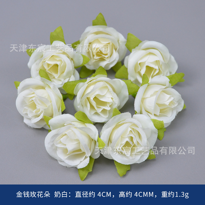 Coin Rose Flower, Creamy White