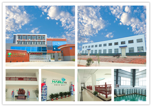 Huile essentielle de menthe poivrée (Mentha Piperita) en gros pour la fabrication d'aromathérapie et d'ingrédients de dentifrice, étiquettes personnalisées - Product Image 4