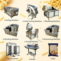 Semi-automatische machine voor de verwerking van diepvries frites, plantain- en bananenchips, 500 kg/uur, 304SS, multifunctionele snackvoedsellijn