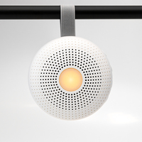 Haut-parleur portable d'apaisement sonore pour l'entraînement au sommeil avec minuterie automatique, 30 mélodies, rechargeable, cadeau audio pour les voyages, bruit blanc