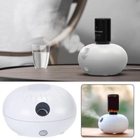 Diffuseur sans eau rechargeable par USB, diffuseur d'huiles essentielles sans eau, diffuseurs nébulisants sans eau pour huiles essentielles, grande pièce