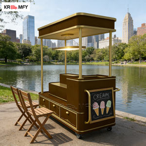 Tricycle électrique pour la vente de glaces, de sucettes glacées et de gelato, en fibre de verre - Product Image 3