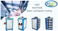 Haney Radiateurs électriques industriels portables Chauffe-eau électrique à immersion Chauffe-eau industriel à induction