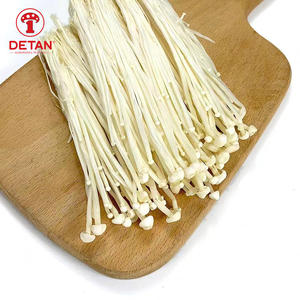 Detan Vendu toute l'année roun champignon frais Origine Jamur Enoki de Chine - Product Image 4