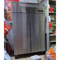 Réfrigérateur vertical multifonctionnel pour cuisine, congélateur à viande Sub Zero