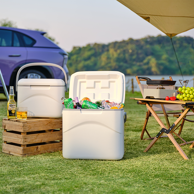 Icemaster MASTER 29L Outer Medical Cooler Box Designer Premium Quality Portable PE Cooler with Handle Lightweight White 29L