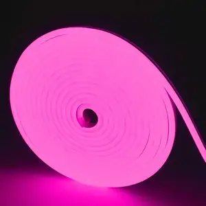 Strisce luminose al Neon a LED flessibili 2835 SMD 12V 6 x12mm luce a corda flessibile al neon a led RGB a tutti i colori