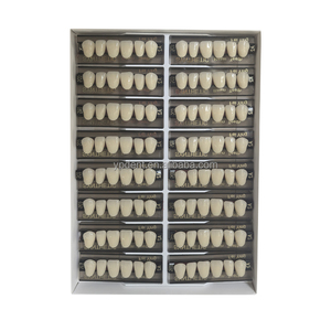 Dents <span class=keywords><strong>en</strong></span> résine Yingpai à <span class=keywords><strong>prix</strong></span> d'usine, 2 couches, 3 couches, teinte blanchissante, dents <span class=keywords><strong>en</strong></span> résine acrylique, antérieures et postérieures, prothèse artificielle - Product Image 3