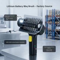 Brosse de nettoyage pour barbecue électrique rechargeable à batterie lithium, lumière LED, poils en acier inoxydable 304 avec deux têtes de brosse réutilisables