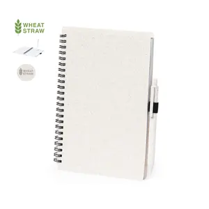 Emily a mis en place un merchandising durable à partir de matériaux recyclés. - Product Image 1