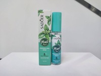 Semprotan nafas segar Peppermint portabel menyegarkan napas memurnikan udara daun aroma yang menyenangkan