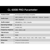 Amplificateur HiFi domestique CL-600B PRO |   DAC/DSP avec WiFi 6 et microphone sans fil UHF, diffusion en streaming karaoké, aluminium, Airplay 100W