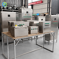 Machine de remplissage de jus liquide entièrement automatique, machine de remplissage automatique de mini-boissons gazeuses et de jus