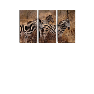 Impresión de lienzo colgante de 3 paneles Art Deco de paisaje de cebra salvaje - Product Image 1