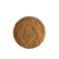 Extrait de Cannelle Pure Naturelle en Poudre en Gros pour Usines – Extrait Herbal