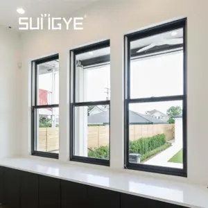 Fenêtre étanche à l'air avec glaçure simple Installation en vinyle pour cuisine Fenêtre à double suspension en verre trempé dépoli
