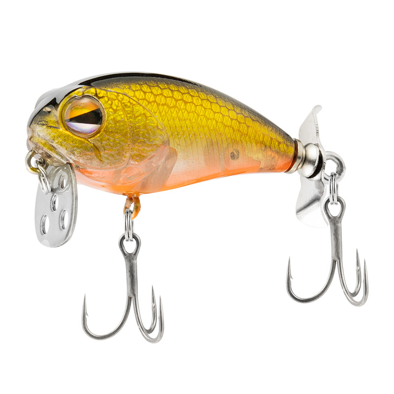 Corps doré à dos noir