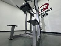 Nouvel équipement de fitness professionnel pour la musculation : Appareil d'aide aux dips et aux tractions