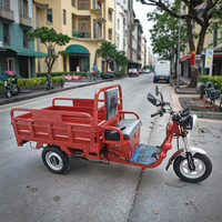 Tricycle de fret électrique 1000W de haute qualité de Chine, modèle USA, avec certification CE, pour la mobilité des personnes âgées, doté d'une batterie et d'une fonction benne