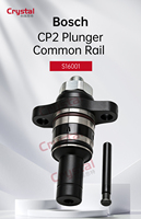 S16001 CP2 Plunger Common Rail