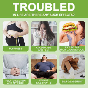 Salute immunitaria organica che supporta il drenaggio linfatico tè 15 naturale per la pulizia del tè equilibrio idrico - Product Image 6