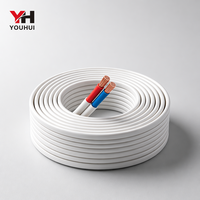 Câble électrique plat BVVB 2 conducteurs, cuivre massif, isolation PVC, gaine blanche, câblage domestique, 300/750V