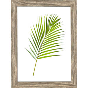 Marco FRANKE de 25 mm, 24x30 cm, Nogal - Product Image 1