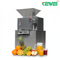 Automatische RVS industriële sinaasappelsapcentrifuge citrus citroen ananas sapcentrifuge
