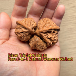 Nueces de nogal de forma especial triplemente unidas Wild Ox, adornos culturales coleccionables y regalos de negocios, arte oriental <span class=keywords><strong>para</strong></span> la punta de los dedos - Product Image 1