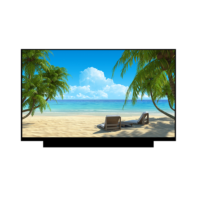 Factory Supply 11.6 Inch LCD Screen 1920x1080 Resolution 1lane EDP Interface TFT Display Panel 262K Colors 220 Nits Brightness