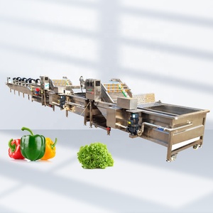 Máquina Automática para Lavar y Limpiar Vegetales, Máquina para Escaldar con Lavadora de Repollo y Limpiadora de Lechuga - Product Image 6