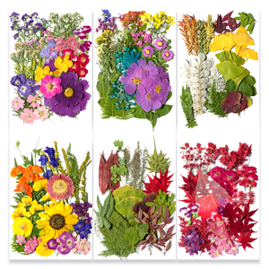 Grandi <span class=keywords><strong>Fiori</strong></span> Essiccati Naturali Pressati per Resina, <span class=keywords><strong>Fiori</strong></span> Botanici Colorati per Nail Art Fai da Te, Sapone, Artigianato, Segnalibri - Product Image 4