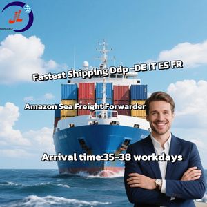 中国到欧洲海洋货运代理保证准时DDP/DDU门到门送货服务自有仓库物流 - Product Image 4