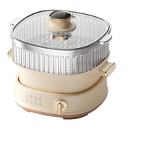 Nouveau produit marmite électrique multifonctionnelle steeleess appareils de cuisine