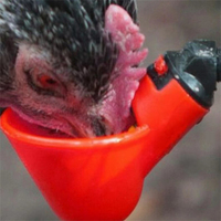 Abreuvoir automatique pour volailles, bol à eau pour poulets avec connecteur de fixation de tuyau DN20mm, bol d'alimentation pour volailles d'élevage