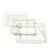 Boîte d'emballage alimentaire en plastique jetable écologique à 6 compartiments avec couvercle transparent et plateau doré pour pâtisserie, dessert, gâteau de haricot mungo