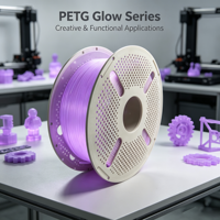 Filament PETG Luminescent Haute Résistance aux Chocs Enroulement Soigné Sans Bulles Matériau d'Impression 3D FDM pour Œuvres d'Art