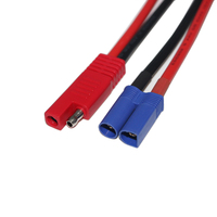 Kabel Pengisi Daya Listrik Konektor SAE 2 Pin Merah Cepat Sambung ke Steker EC5 10AWG PVC 300mm
