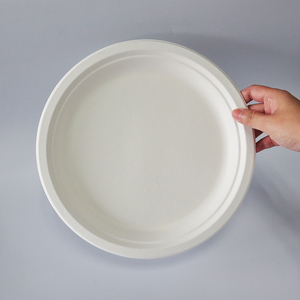 Meilleur Prix Assiettes jetables en bagasse de canne à sucre biodégradable de 10 pouces pour plats à emporter - Product Image 4