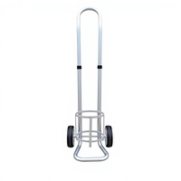 Chariot pliant en acier inoxydable Becho pour bouteilles de gaz médical (oxygène, azote, acétylène) - Fabriqué au Zhejiang