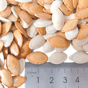 Semillas de Calabaza Secas de Alta Calidad de Fábrica, Saludables y Nutritivas, Sazonadas, Listas para Consumir - Product Image 2