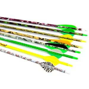 Hợp Chất Bow Hunting Bắn Cung Carbon Mũi Tên Nhựa Vanes Feather Điểm Broadheads Recurve Cung Dài