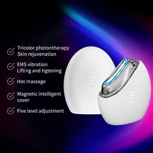 New Design 3 in 1 Wrinkle Removal Skin Rejuvenation Hot Massager EMS Microcurrent Mini Facial Beauty Device for Home