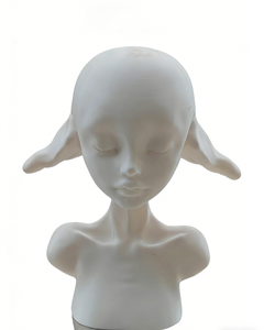Tête de Mannequin Professionnelle Personnalisée sur Mesure, Modèle 3D, Conception et Impression 3D en Résine/Nylon/ABS, Service de Pulvérisation Haute Précision - Product Image 3