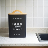 Récipient à détergent en métal Boîte de rangement moderne pour ferme Porte-détergent Conteneur à dosettes pour l'organisation et le stockage