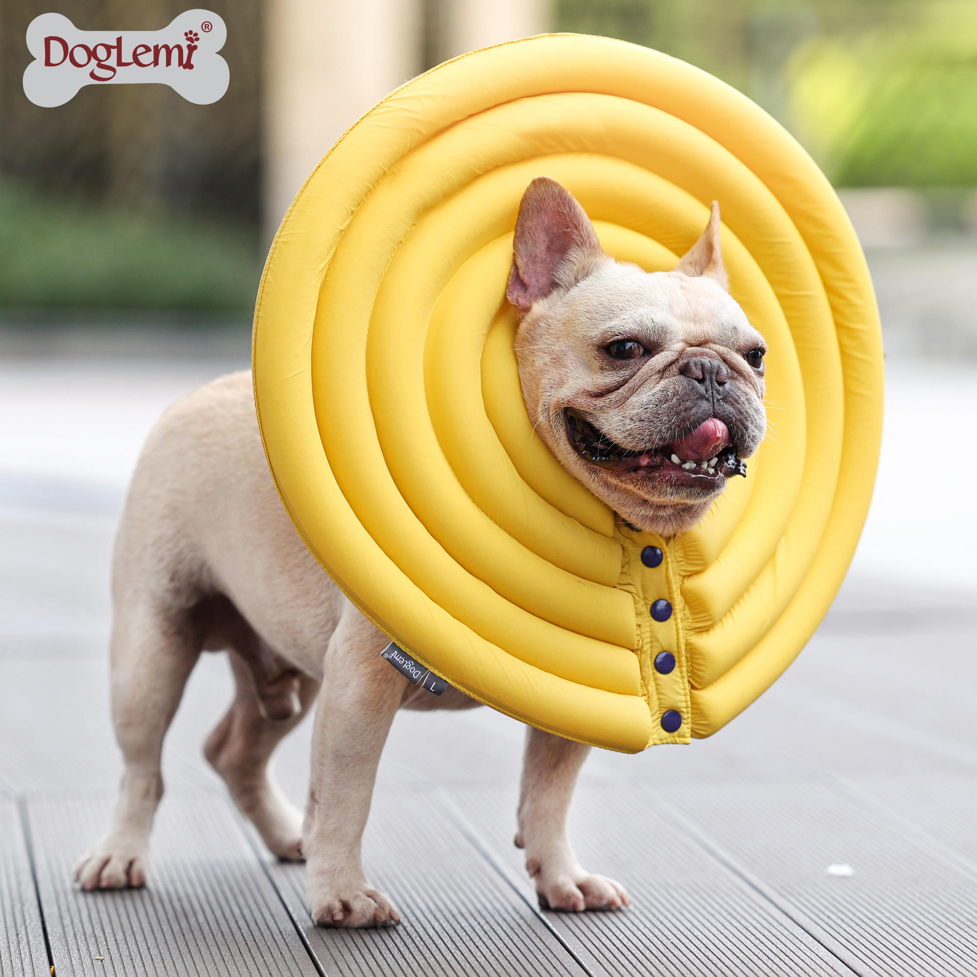 สีเหลือง